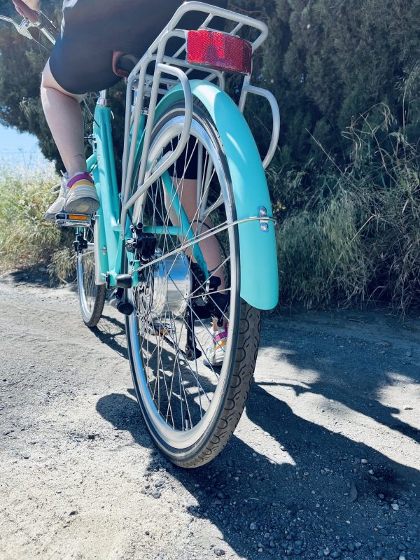 Vélo électrique ZITMUV Zity – 250 W / 36 V 7 Ah – Bleu
